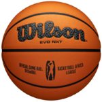Basketball Wilson EVO NXT Africa League Official Game Ball WTB0900XBBA