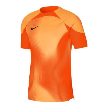 Nike Camiseta de portero Dri-FIT ADV Gardien 4 M DH7760-819