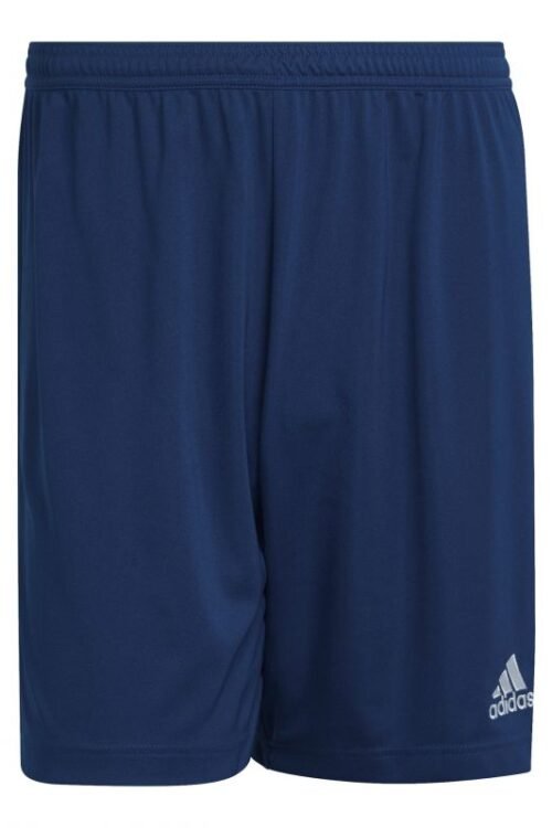 Adidas Entrada 22 M H57506 shorts