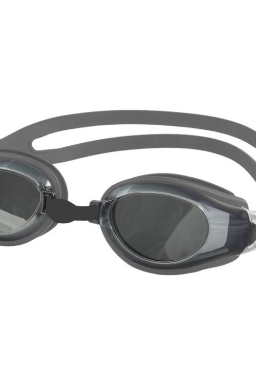 Swimming goggles Aqua-Speed Champion silver 26/038