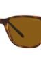 ARNETTE SUNGLASSES - EYEWEAR