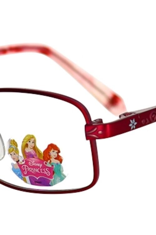 DISNEY EYEWEAR – EYEWEAR