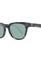 GANT EYEWEAR EYEWEAR